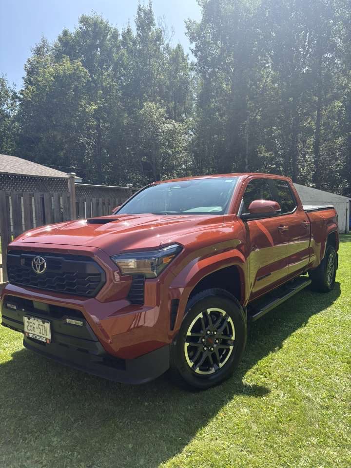 Detailed orange Toyota Tacoma parked on a lawn after a full exterior detail